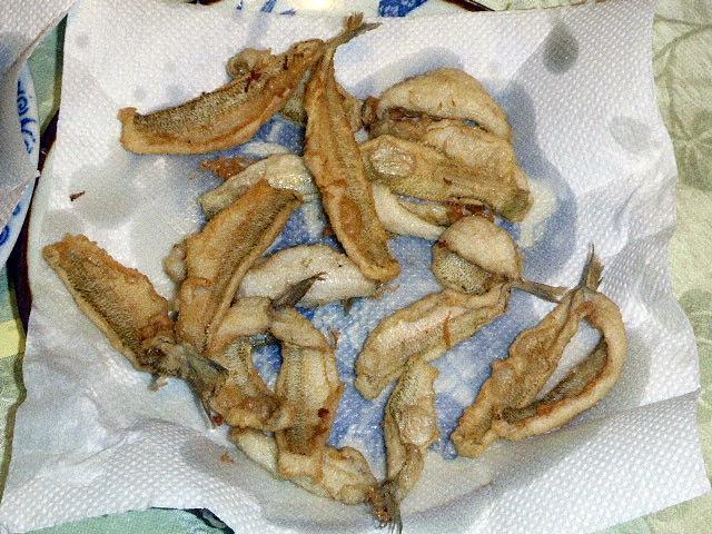 pict-P1150882-2.jpg